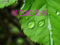 《森林里的珞巴人（小合奏与人声）》PPT课件2-七年级下册音乐【苏少版】