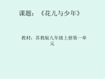 《花儿与少年（管弦乐）》PPT课件3-八年级上册音乐【苏少版】