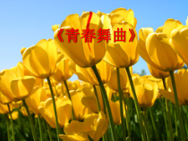 《青春舞曲》PPT课件4-八年级上册音乐【苏少版】
