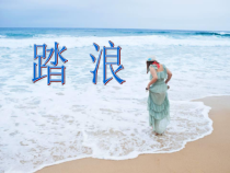 《踏浪》PPT课件3-八年级下册音乐【苏少版】