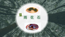 《雨花石》PPT课件6-八年级下册音乐【苏少版】