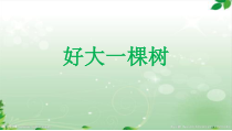 《好大一棵树》PPT课件3-七年级下册音乐（五线谱）【苏少版】