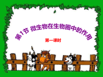 《第1节 微生物在生物圈中的作用》PPT课件2-北师大版生物八年级上册