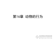 《第1节 先天性行为和后天学习行为》PPT课件2-北师大版生物八年级上册