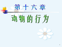 《第3节 动物行为的研究》PPT课件2-北师大版生物八年级上册