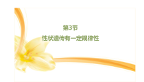 《第3节 性状遗传有一定的规律性》PPT课件1-北师大版生物八年级上册
