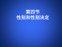 《第4节 性别和性别决定》PPT课件1-北师大版生物八年级上册