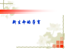 《第1节 人的生殖和发育》PPT课件1-北师大版生物八年级上册