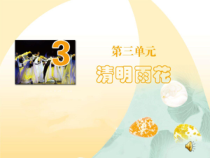 《雨花石》PPT课件1-八年级下册音乐（五线谱）【苏少版】
