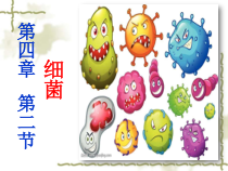 《第1节 微生物在生物圈中的作用》PPT课件3-北师大版生物八年级上册