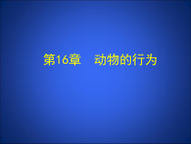 《第1节 先天性行为和后天学习行为》PPT课件3-北师大版生物八年级上册