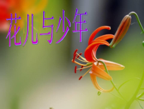 《花儿与少年》PPT课件1-八年级下册音乐【西师大版】