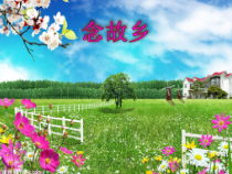 《念故乡》PPT课件2-八年级下册音乐【西师大版】