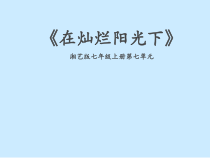 《在灿烂阳光下》PPT课件1-七年级上册音乐【湘艺版】