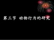 《第3节 动物行为的研究》PPT课件1-北师大版生物八年级上册