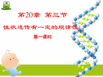 《第3节 性状遗传有一定的规律性》PPT课件2-北师大版生物八年级上册