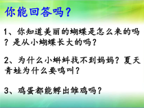 《第3节 植物的生殖方式》PPT课件3-北师大版生物八年级上册