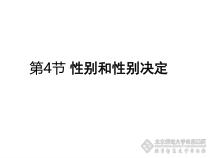 《第4节 性别和性别决定》PPT课件3-北师大版生物八年级上册