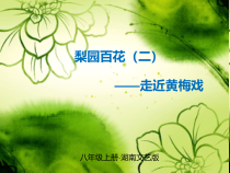 《对花》PPT课件4-八年级上册音乐【湘艺版】