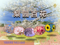 《对花》PPT课件2-八年级上册音乐【湘艺版】