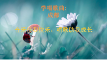 《3、活动与练习》PPT课件3-八年级上册音乐【湘艺版】