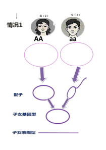 《第3节 性状遗传有一定的规律性》贴图纸-北师大版生物八年级上册