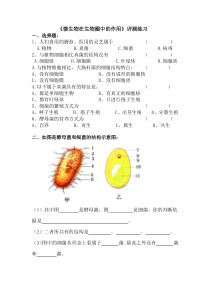 《第1节 微生物在生物圈中的作用》评测练习-北师大版生物八年级上册
