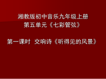 《交响组曲》PPT课件2-九年级上册音乐【湘艺版】