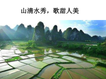 《珠江两岸的歌---广西音乐特点》PPT课件-八年级上册音乐【粤教版】