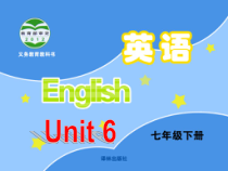 牛津译林版英语七年级下册《Unit 6 Outdoor fun Integrated skills》PPT课件4