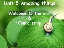 牛津译林版英语七年级下册《Unit 5 Amazing things Welcome to the unit》PPT课件1