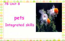 牛津译林版英语七年级下册《Unit 8 Pets Integrated skills》课件2