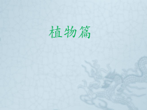 《第4节 家居环境与健康》PPT课件1-北师大版生物八年级下册