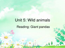 《Unit 5 Wild animals Reading 1 Giant pandas》教学课件1-八年级上册英语【牛津译林版】