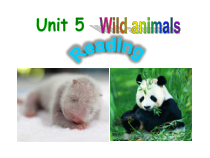 《Unit 5 Wild animals Reading 1 Giant pandas》教学课件2-八年级上册英语【牛津译林版】