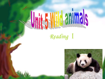 《Unit 5 Wild animals Reading 1 Giant pandas》PPT课件4-八年级上册英语【牛津译林版】