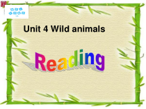 《Unit 4 Wild animals Reading 1 Giant pandas》教学课件2-八年级上册英语【牛津译林版】