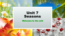 《Unit 7 Seasons Welcome to the unit》教学课件6-八年级上册英语【牛津译林版】