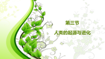 《第3节 人类的起源与进化》PPT课件2-北师大版生物八年级下册