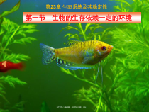 《第1节 生物的生存依赖一定的环境》PPT课件1-北师大版生物八年级下册