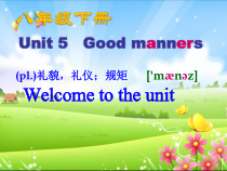 《Unit 5 Good manners Welcome to the unit》PPT课件13-八年级下册英语【牛津译林版】