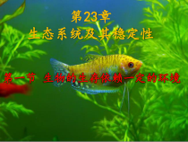 《第1节 生物的生存依赖一定的环境》PPT课件4-北师大版生物八年级下册