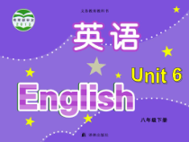 《Unit 6 Sunshine for all Welcome to the unit》教学课件6-八年级下册英语【牛津译林版】