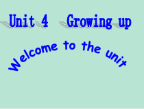 《Unit 4 Welcome to the unit》教学课件3-九年级上册英语【牛津译林版】