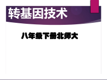 《第2节 现代生物技术》PPT课件1-北师大版生物八年级下册