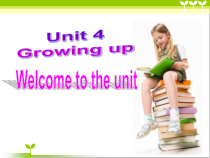 《Unit 4 Welcome to the unit》PPT课件2-九年级上册英语【牛津译林版】