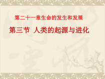 《第3节 人类的起源与进化》PPT课件4-北师大版生物八年级下册