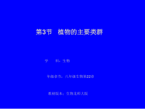 《第3节 植物的主要类群》PPT课件1-北师大版生物八年级下册