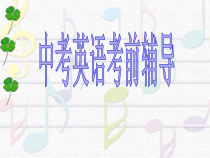 《中考英语考前辅导》PPT课件20-九年级下册英语【牛津译林版】