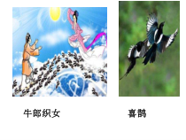 《第4节 动物的主要类群》PPT课件2-北师大版生物八年级下册